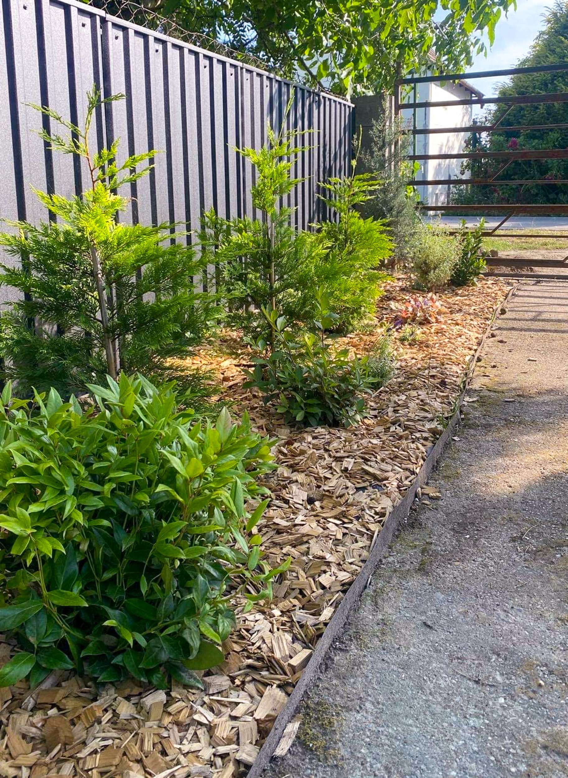 Trapézlemez kerítés kertben növényzettel